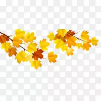 黄秋叶壁纸-秋季PNG图像