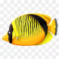 鱼类剪贴画-鱼PNG 14