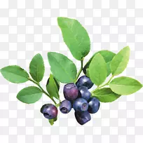 水果图标-蓝莓PNG