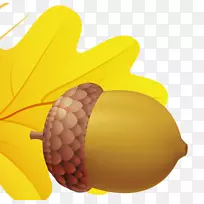 果橡树-橡子PNG图像
