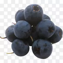 欧洲蓝莓果