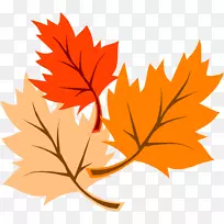 秋叶彩色剪贴画-感恩节图片