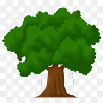 树木卡通绿色剪贴画-树木剪贴画