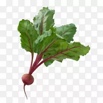 蔬菜罗宋甜菜园水果-甜菜图片