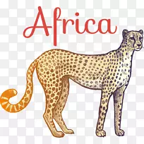 猎豹长颈鹿野猪卡通猎豹