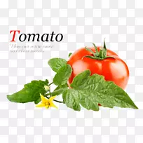 番茄酱蔬菜沙拉罐头番茄
