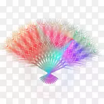 羽毛孔雀-孔雀扇