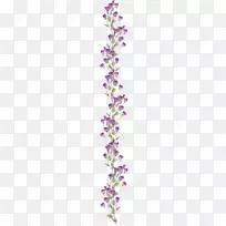 花束紫罗兰花束