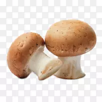 普通蘑菇食品世美吉真菌养殖-HD蘑菇