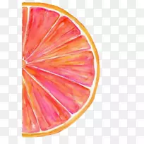 柚子水彩画水彩技巧艺术.红柚子