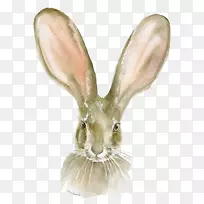 水彩画纸版画印刷.小兔子