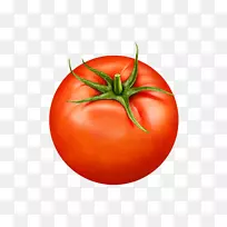 李子番茄蔬菜灌木番茄