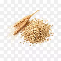 小麦胚芽油，面粉，谷物胚芽，小麦浆果-小麦