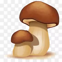 蘑菇动画-蘑菇，真菌