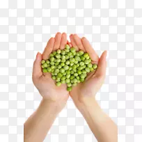 豌豆食品营养豆