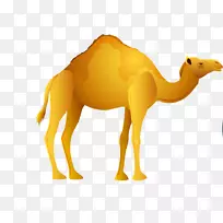骆驼埃及剪贴画-骆驼