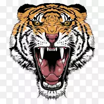 虎狮咆哮大猫头虎脸透明PNG