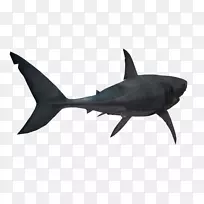 鲨鱼剪贴画-鲨鱼PNG透明图像