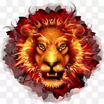 狮头火焰-狮子
