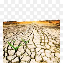 防治荒漠化和干旱世界日-严重缺水