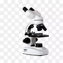 数字显微镜放大显微镜