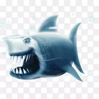 鲨鱼软骨鱼蓝鲨