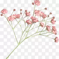 插花艺术-一束鲜花