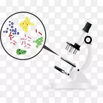 细菌微生物显微镜载体细菌学水分析显微细菌