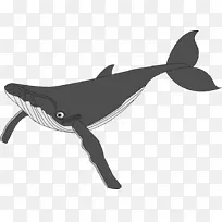 座头鲸剪贴画-可爱的鲸鱼