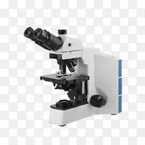 光学显微镜，光学，位相显微镜，显微镜
