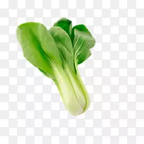 纳帕卷心菜有机食品蔬菜白菜卷心菜