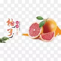 柚子葡萄柚汁橘子红柚子海报设计