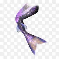 美人鱼尾巴-漂亮的紫色美人鱼尾巴