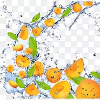 水果杏高清电视1080 p壁纸-芒果