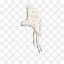 鸟翼图标-白色翅膀材料