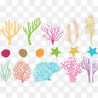 珊瑚礁鱼-彩色珊瑚