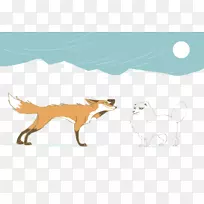 红狐北极狐红狐白狐