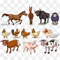 牛、鸡、羊、家猪、马场动物