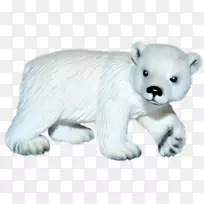 国际北极熊日北极狐白北极熊