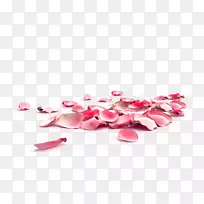 玫瑰花瓣指甲去角花-桃花花瓣，节日，花卉，秋天装饰，粉红色创意，花瓣婚礼