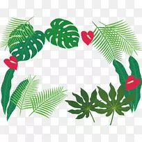 叶夹艺术-热带植物叶缘