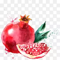 水彩画水果插图.红色石榴