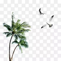 岛屿剪贴画-棕榈海鸥