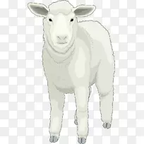 羊剪艺术-毛茸茸的小绵羊