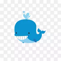 蓝鲸鲨鱼生日-可爱的鲸鱼