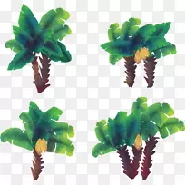 椰子树，槟榔科，水彩画树-水彩手绘椰子树