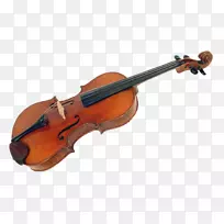 低音小提琴乐器-美丽的小提琴
