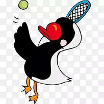 鸟企鹅网球插图-网球鸟