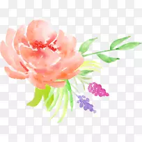 蒲公英玫瑰水彩画花卉图案橙色玫瑰装饰图案