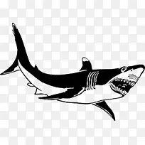 大白鲨灯笼形公牛鲨鱼虎鲨剪贴画黑鲨